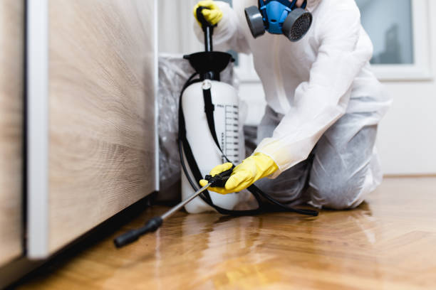 Best Pest Prevention Services  in Nneconne, WI
