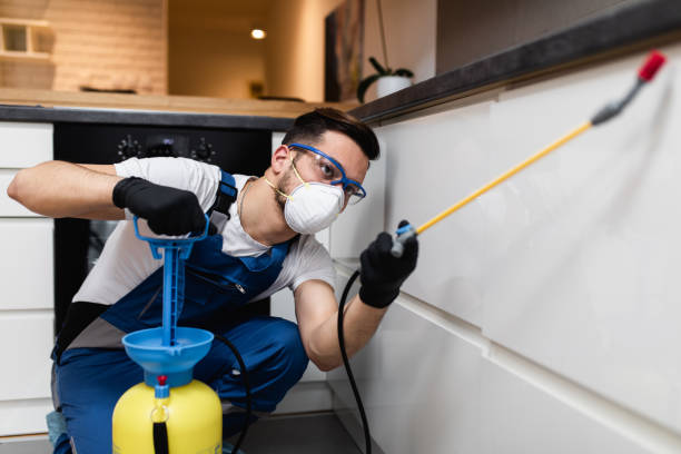 Best Rat Extermination Near Me  in Nneconne, WI