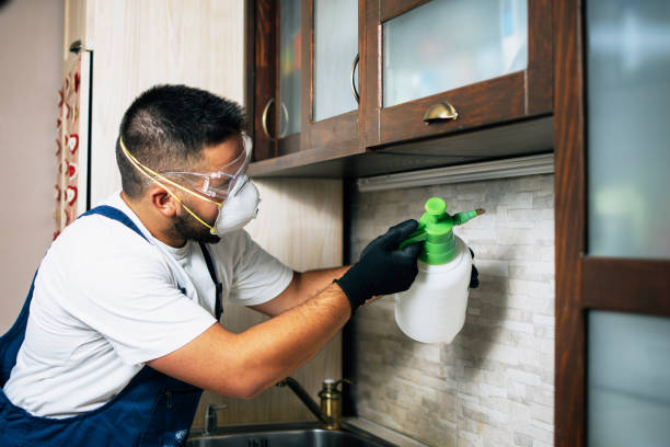 Best Cockroach Control Services  in Nneconne, WI