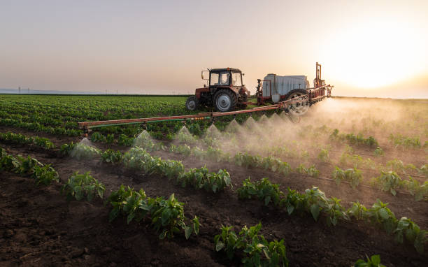 Best Mosquito Control Services  in Nneconne, WI