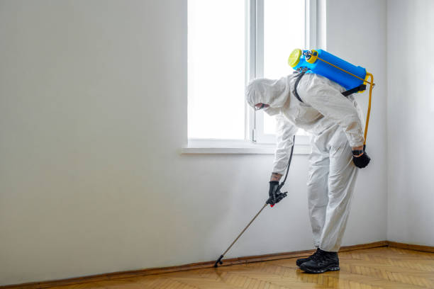 Best Ant Control Services  in Nneconne, WI