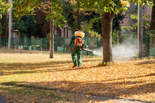 Best Pest Inspection Near Me  in Nneconne, WI