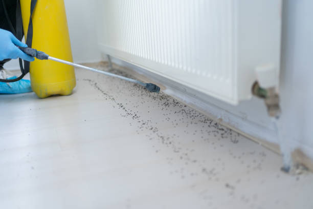 Best Commercial Pest Control Services  in Nneconne, WI