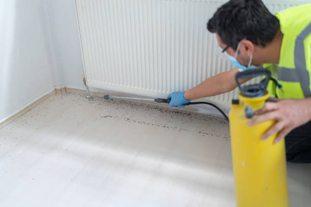 Best Commercial Pest Control Services  in Nneconne, WI