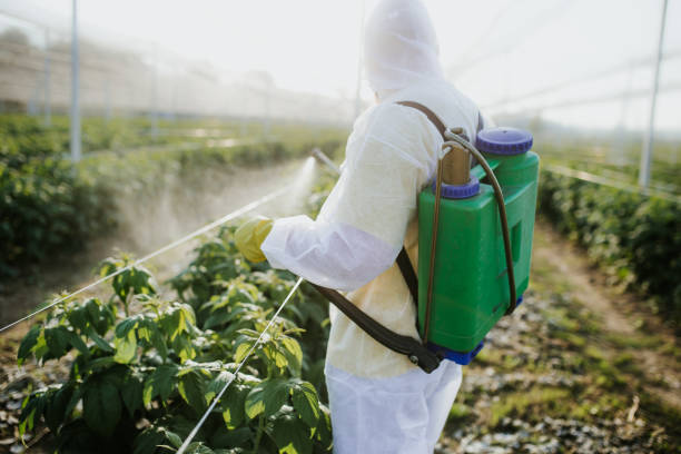 Best Residential Pest Control  in Nneconne, WI